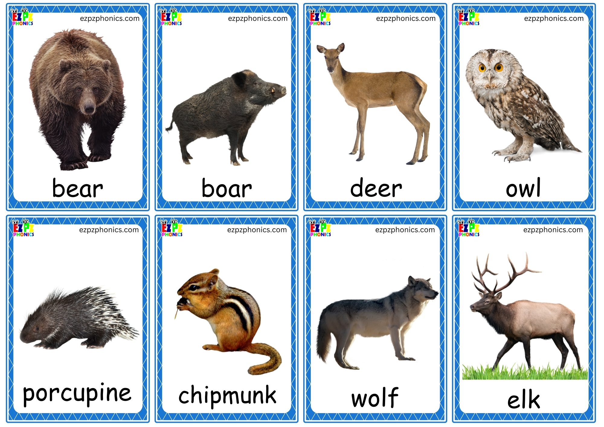 Forest Animals Mini Flashcards